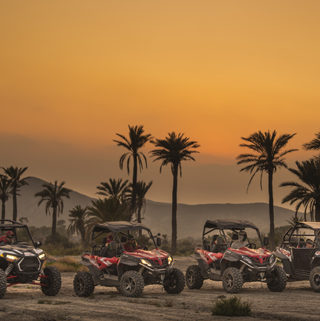 Cinco buggies junto a las palmeras de una ruta en Almería al atardecer