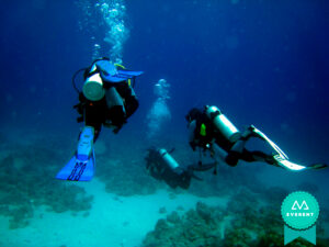 curso de iniciación al buceo guipuzcoa