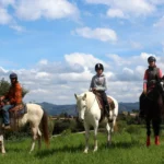 Everent buscador de actividades y ocio paseo a caballo en españa