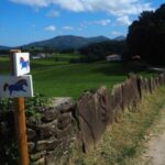 Ruta de senderismo en Navarra: El camino de las Pottokas