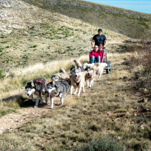 Aventura Mushing Moncayo tierras misteriosas