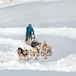 Experiencia de trineo de perros en el Pirineo Aragonés desde el Valle de Pineta en Bielsa