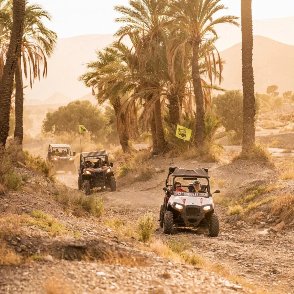 Fascinante ruta en buggy por el desierto con parada en los Baños de Sierra Alhamilla desde Pechina, Almería