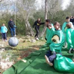 Pack de actividades para niños en Mallorca