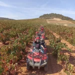 Excursiones en Quad por viñedos en La Rioja