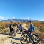 Paseos en bicicleta eléctrica en La Rioja