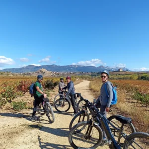 Paseos en bicicleta eléctrica en La Rioja