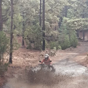 Paseo en quad por los bosques de Tenerife