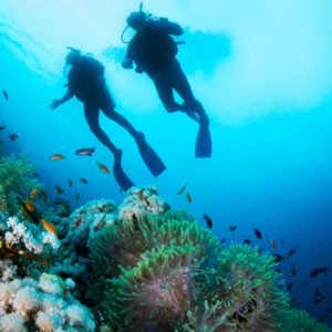 Cursos avanzados de buceo en Guipúzcoa