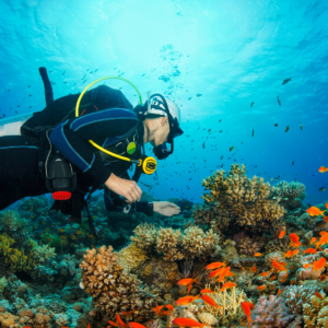 Buceo en Hondarribia