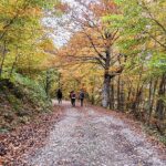 Ruta de senderismo bosque de Peloñu