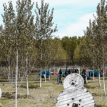 Gelball con bolas ilimitadas y menús infantiles en Puente Tocinos, Murcia.