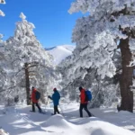 Descubre la Ruta de Siete Picos con Raquetas de Nieve en Navacerrada