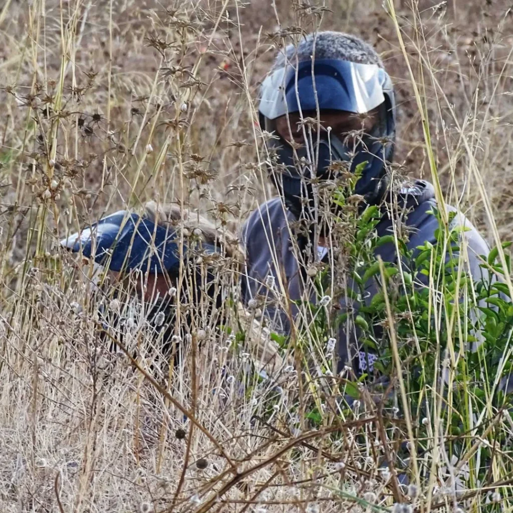 Paintball familiar en Torrent niños y adultos