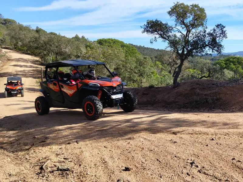 Ruta en buggy al Santuario de St. Pere del Bosc