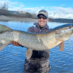 Media jornada de pesca guiada con mosca en río en Guipúzcoa.