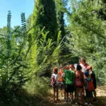 Excursión y curso de orientación en la Sierra de Alcaraz