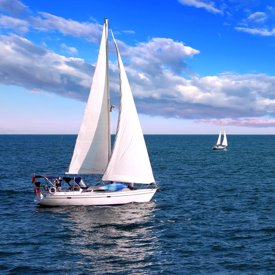 Regata en velero