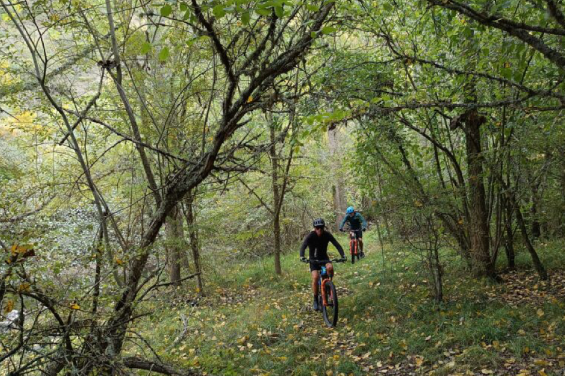 Ruta en Bicicleta por el Saja, Cantabria.