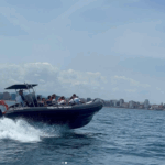 Tour en Barco a Cabo Peñas desde Gijón.