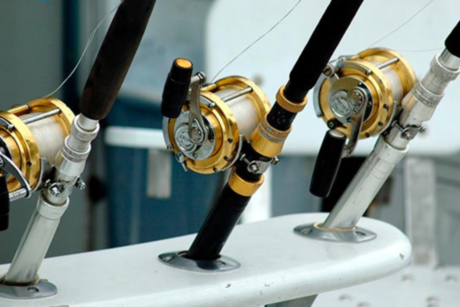 Salidas de Pesca costera en Gijón.