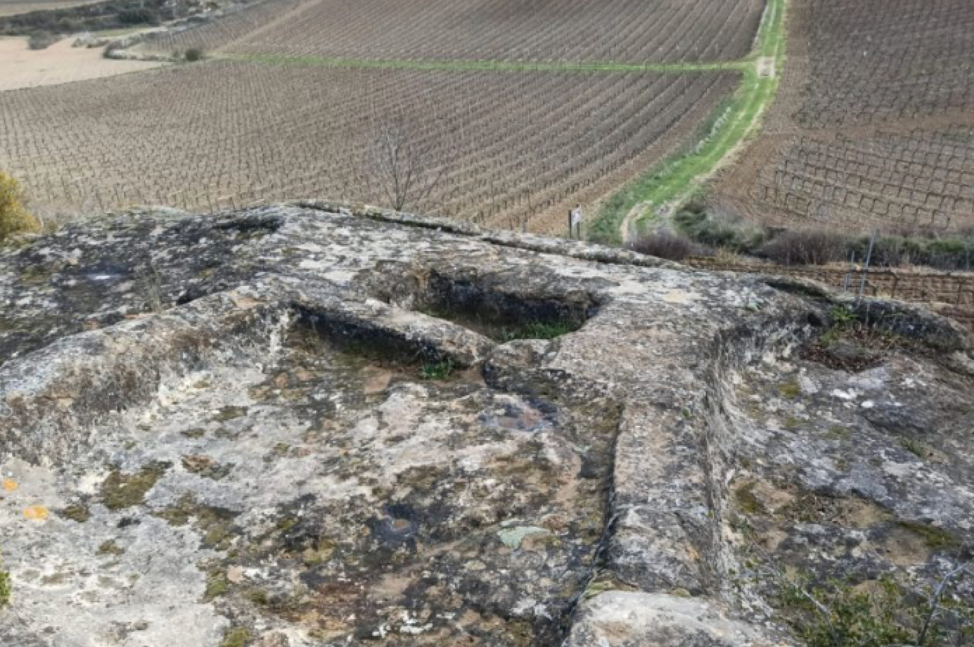 Ruta de los lagares guiada en Bicicleta desde Haro hasta Villalba de Rioja.