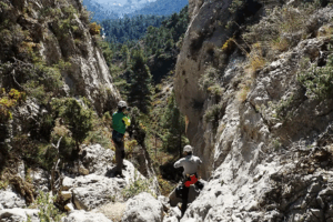 Barranco seco de Teular en Alicante.