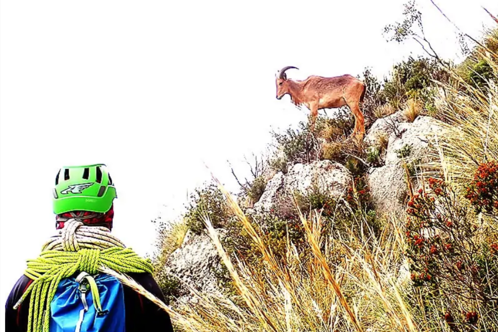 VĆa Ferrata del Ponoig nivel experto en Alicante.