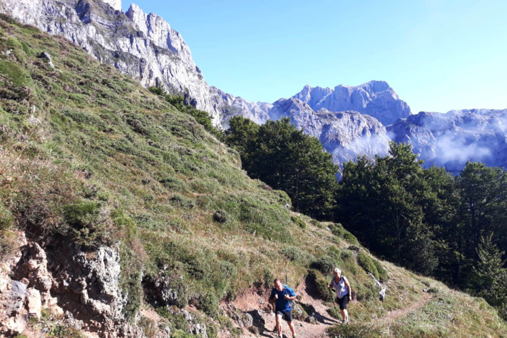 Ruta de Senderismo circular en el Bosque de Quebres en Los Picos de Europa.