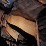 Espeleología de nivel iniciación en la Gruta de Esjamundo.